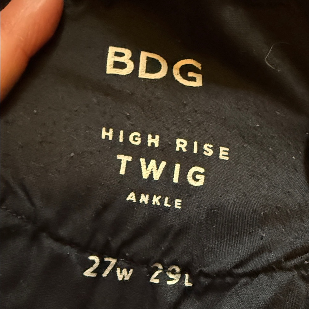 BDG Black High Rise Twig Ankle Pants